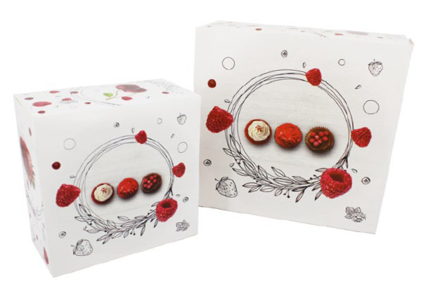 BOITE IMPRIMEE 160x160x50